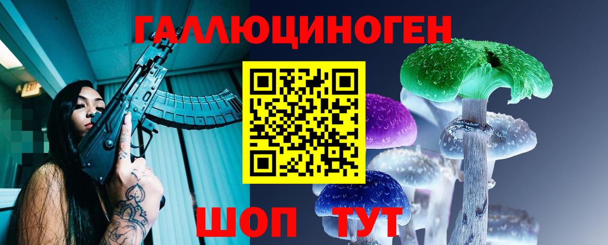 Галлюциногенные грибы Psilocybe Улан-Удэ